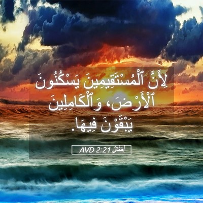 Picture 05 - أَمْثَالٌ 2:21 AVD - لِأَنَّ ٱلْمُسْتَقِيمِينَ - Bible Verse Picture