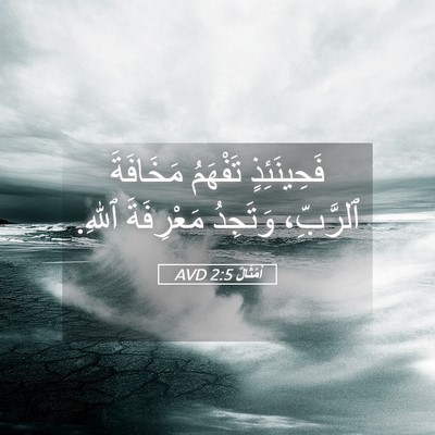 Picture 05 - أَمْثَالٌ 2:5 AVD - فَحِينَئِذٍ تَفْهَمُ - Bible Verse Picture