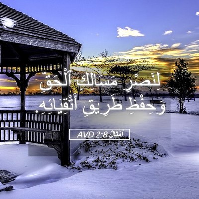Picture 05 - أَمْثَالٌ 2:8 AVD - لِنَصْرِ مَسَالِكِ - Bible Verse Picture