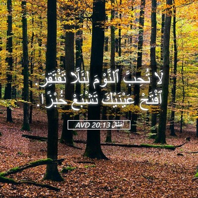 Picture 05 - أَمْثَالٌ 20:13 AVD - لَا تُحِبَّ ٱلنَّوْمَ - Bible Verse Picture