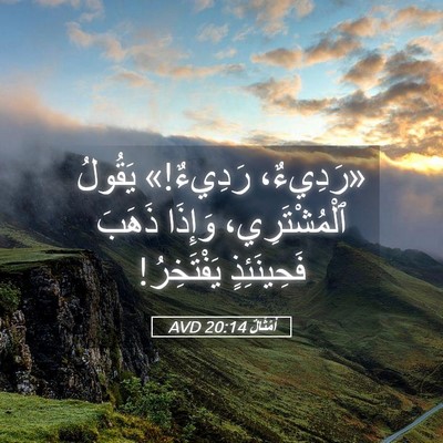 Picture 05 - أَمْثَالٌ 20:14 AVD - «رَدِيءٌ، رَدِيءٌ!» - Bible Verse Picture
