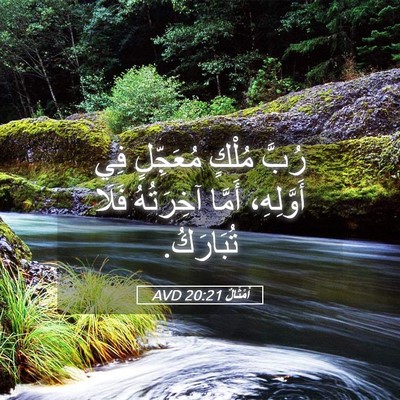 Picture 05 - أَمْثَالٌ 20:21 AVD - رُبَّ مُلْكٍ مُعَجِّلٍ فِي - Bible Verse Picture