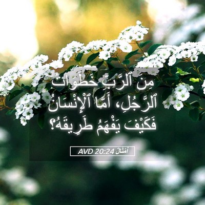Picture 05 - أَمْثَالٌ 20:24 AVD - مِنَ ٱلرَّبِّ خَطَوَاتُ - Bible Verse Picture