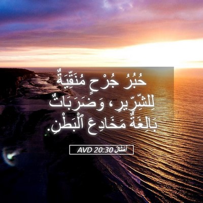 Picture 05 - أَمْثَالٌ 20:30 AVD - حُبُرُ جُرْحٍ مُنَقِّيَةٌ - Bible Verse Picture