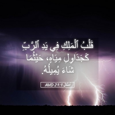 Picture 05 - أَمْثَالٌ 21:1 AVD - قَلْبُ ٱلْمَلِكِ فِي يَدِ - Bible Verse Picture
