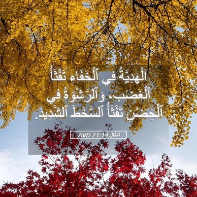 Picture 05 - أَمْثَالٌ 21:14 AVD - اَلْهَدِيَّةُ فِي - Bible Verse Picture
