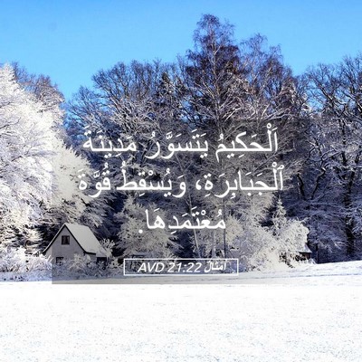 Picture 05 - أَمْثَالٌ 21:22 AVD - اَلْحَكِيمُ يَتَسَوَّرُ - Bible Verse Picture