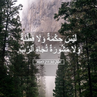 Picture 05 - أَمْثَالٌ 21:30 AVD - لَيْسَ حِكْمَةٌ وَلَا - Bible Verse Picture
