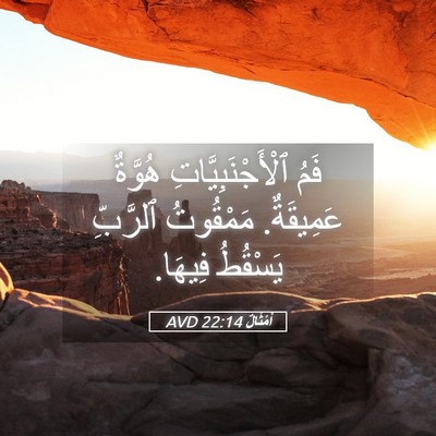 Picture 05 - أَمْثَالٌ 22:14 AVD - فَمُ ٱلْأَجْنَبِيَّاتِ - Bible Verse Picture
