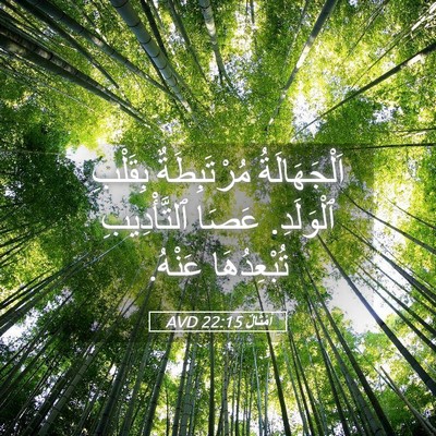 Picture 05 - أَمْثَالٌ 22:15 AVD - اَلْجَهَالَةُ - Bible Verse Picture