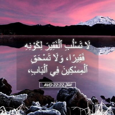 Picture 05 - أَمْثَالٌ 22:22 AVD - لَا تَسْلُبِ ٱلْفَقِيرَ - Bible Verse Picture