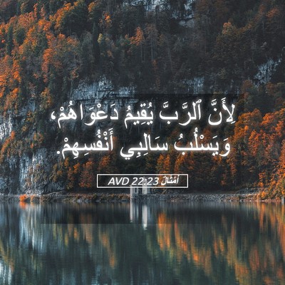 Picture 05 - أَمْثَالٌ 22:23 AVD - لِأَنَّ ٱلرَّبَّ يُقِيمُ - Bible Verse Picture