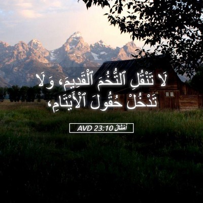 Picture 05 - أَمْثَالٌ 23:10 AVD - لَا تَنْقُلِ ٱلتُّخُمَ - Bible Verse Picture