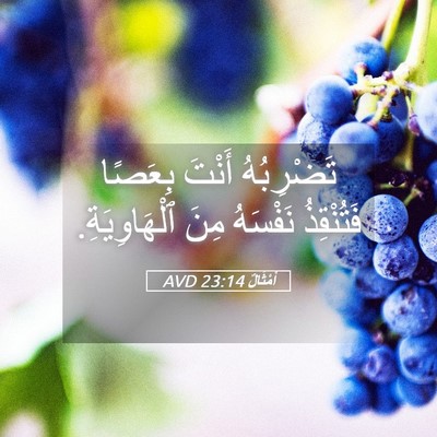 Picture 05 - أَمْثَالٌ 23:14 AVD - تَضْرِبُهُ أَنْتَ بِعَصًا - Bible Verse Picture