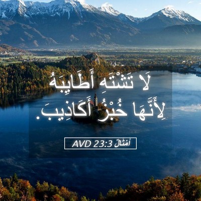 Picture 05 - أَمْثَالٌ 23:3 AVD - لَا تَشْتَهِ أَطَايِبَهُ - Bible Verse Picture