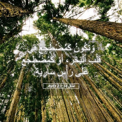 Picture 05 - أَمْثَالٌ 23:34 AVD - وَتَكُونُ كَمُضْطَجعٍ فِي - Bible Verse Picture