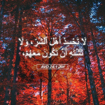 Picture 05 - أَمْثَالٌ 24:1 AVD - لَا تَحْسِدْ أَهْلَ - Bible Verse Picture