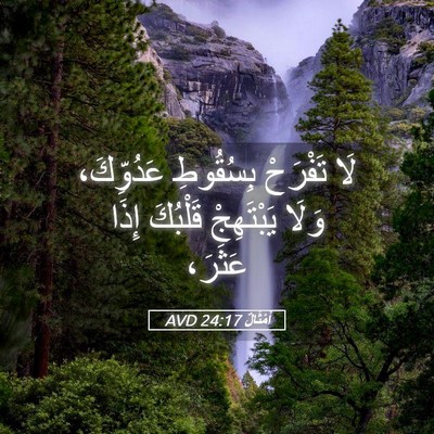 Picture 05 - أَمْثَالٌ 24:17 AVD - لَا تَفْرَحْ بِسُقُوطِ - Bible Verse Picture