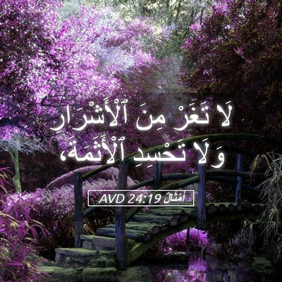 Picture 05 - أَمْثَالٌ 24:19 AVD - لَا تَغَرْ مِنَ - Bible Verse Picture
