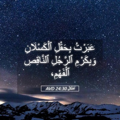 Picture 05 - أَمْثَالٌ 24:30 AVD - عَبَرْتُ بِحَقْلِ - Bible Verse Picture