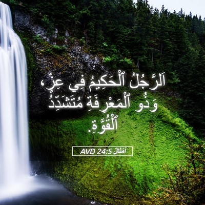 Picture 05 - أَمْثَالٌ 24:5 AVD - اَلرَّجُلُ ٱلْحَكِيمُ فِي - Bible Verse Picture