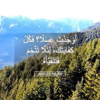 Picture 05 - أَمْثَالٌ 25:16 AVD - أَوَجَدْتَ عَسَلًا؟ - Bible Verse Picture
