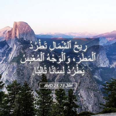 Picture 05 - أَمْثَالٌ 25:23 AVD - رِيحُ ٱلشِّمَالِ تَطْرُدُ - Bible Verse Picture