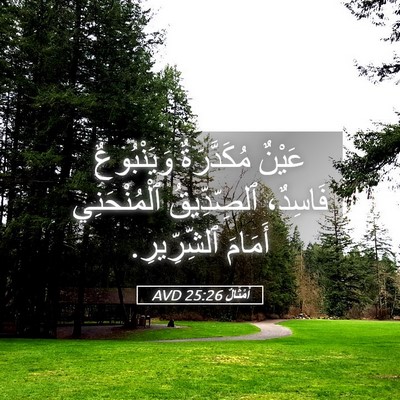 Picture 05 - أَمْثَالٌ 25:26 AVD - عَيْنٌ مُكَدَّرَةٌ - Bible Verse Picture