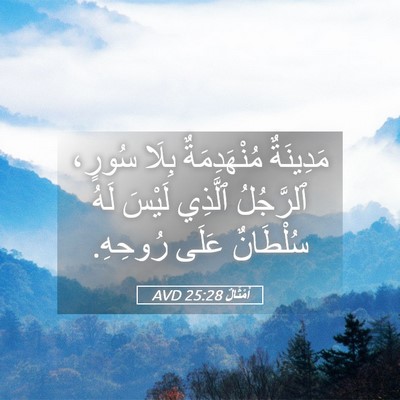 Picture 05 - أَمْثَالٌ 25:28 AVD - مَدِينَةٌ مُنْهَدِمَةٌ - Bible Verse Picture