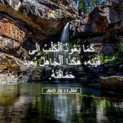 Picture 05 - أَمْثَالٌ 26:11 AVD - كَمَا يَعُودُ ٱلْكَلْبُ - Bible Verse Picture