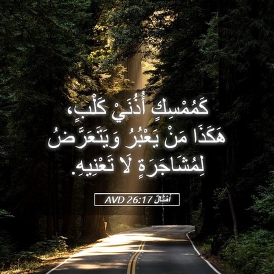 Picture 05 - أَمْثَالٌ 26:17 AVD - كَمُمْسِكٍ أُذُنَيْ - Bible Verse Picture