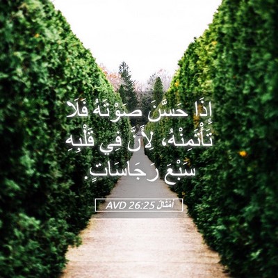 Picture 05 - أَمْثَالٌ 26:25 AVD - إِذَا حَسَّنَ صَوْتَهُ - Bible Verse Picture