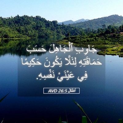 Picture 05 - أَمْثَالٌ 26:5 AVD - جَاوِبِ ٱلْجَاهِلَ حَسَبَ - Bible Verse Picture