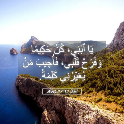 Picture 05 - أَمْثَالٌ 27:11 AVD - يَا ٱبْنِي، كُنْ حَكِيمًا - Bible Verse Picture