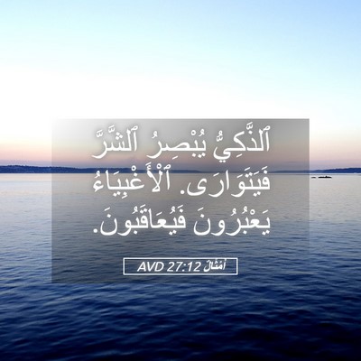 Picture 05 - أَمْثَالٌ 27:12 AVD - ٱلذَّكِيُّ يُبْصِرُ - Bible Verse Picture