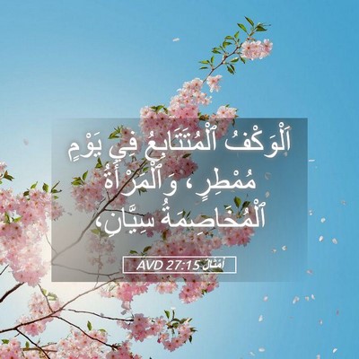Picture 05 - أَمْثَالٌ 27:15 AVD - اَلْوَكْفُ ٱلْمُتَتَابِعُ - Bible Verse Picture