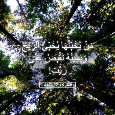 Picture 05 - أَمْثَالٌ 27:16 AVD - مَنْ يُخَبِّئُهَا - Bible Verse Picture
