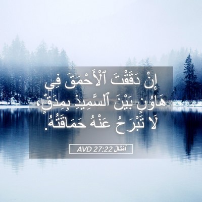 Picture 05 - أَمْثَالٌ 27:22 AVD - إِنْ دَقَقْتَ ٱلْأَحْمَقَ - Bible Verse Picture