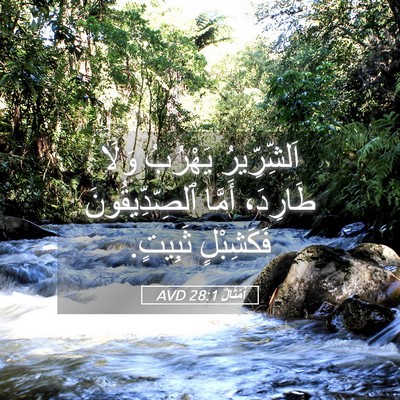 Picture 05 - أَمْثَالٌ 28:1 AVD - اَلشِّرِّيرُ يَهْرُبُ - Bible Verse Picture