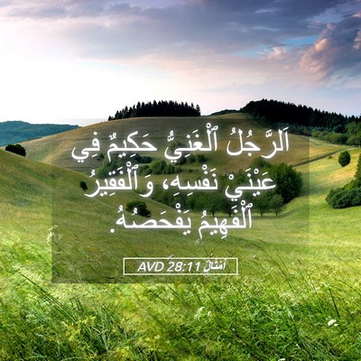 Picture 05 - أَمْثَالٌ 28:11 AVD - اَلرَّجُلُ ٱلْغَنِيُّ - Bible Verse Picture