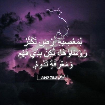 Picture 05 - أَمْثَالٌ 28:2 AVD - لِمَعْصِيَةِ أَرْضٍ - Bible Verse Picture