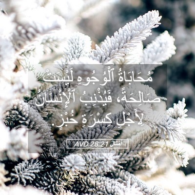 Picture 05 - أَمْثَالٌ 28:21 AVD - مُحَابَاةُ ٱلْوُجُوهِ - Bible Verse Picture