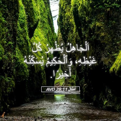 Picture 05 - أَمْثَالٌ 29:11 AVD - اَلْجَاهِلُ يُظْهِرُ - Bible Verse Picture