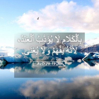 Picture 05 - أَمْثَالٌ 29:19 AVD - بِٱلْكَلَامِ لَا - Bible Verse Picture