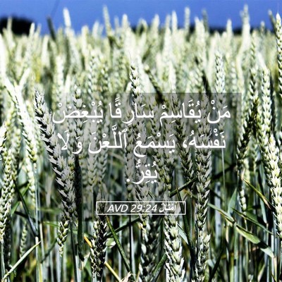 Picture 05 - أَمْثَالٌ 29:24 AVD - مَنْ يُقَاسِمْ سَارِقًا - Bible Verse Picture