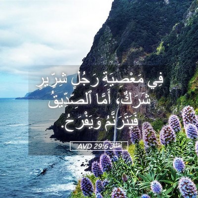 Picture 05 - أَمْثَالٌ 29:6 AVD - فِي مَعْصِيَةِ رَجُلٍ - Bible Verse Picture