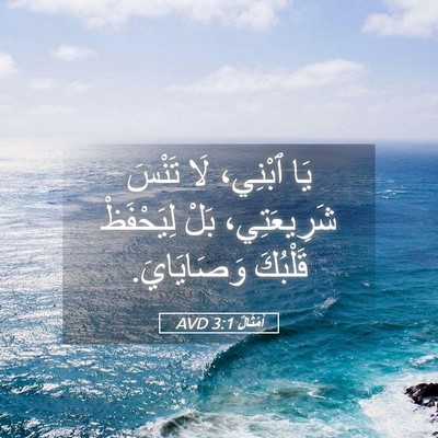 Picture 05 - أَمْثَالٌ 3:1 AVD - يَا ٱبْنِي، لَا تَنْسَ - Bible Verse Picture