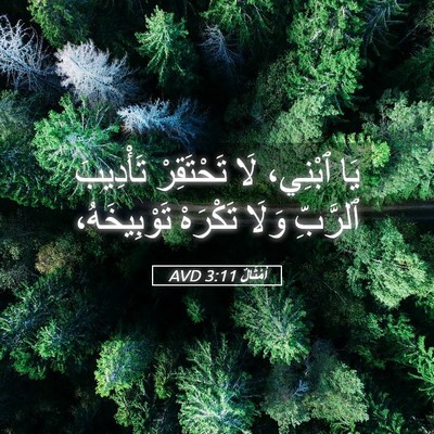 Picture 05 - أَمْثَالٌ 3:11 AVD - يَا ٱبْنِي، لَا تَحْتَقِرْ - Bible Verse Picture