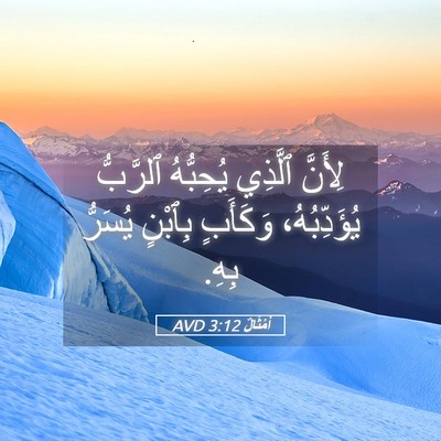 Picture 05 - أَمْثَالٌ 3:12 AVD - لِأَنَّ ٱلَّذِي يُحِبُّهُ - Bible Verse Picture