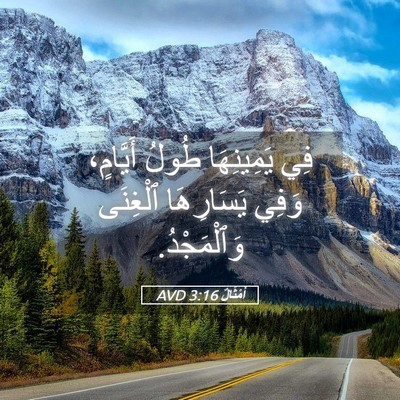 Picture 05 - أَمْثَالٌ 3:16 AVD - فِي يَمِينِهَا طُولُ - Bible Verse Picture